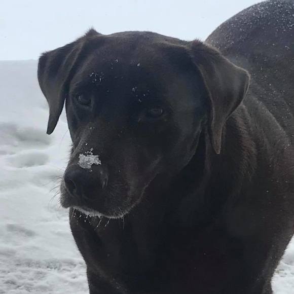 Meet your Posher, Pam - Picture 1 of 1